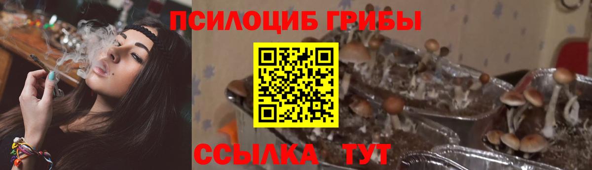 Урай  Галлюциногенные грибы GOLDEN TEACHER  Вход с VPN 